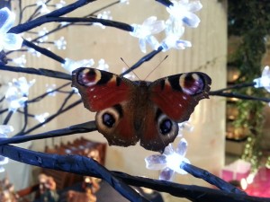 crechesdenosvillages2013-arbrelumineux-papillon